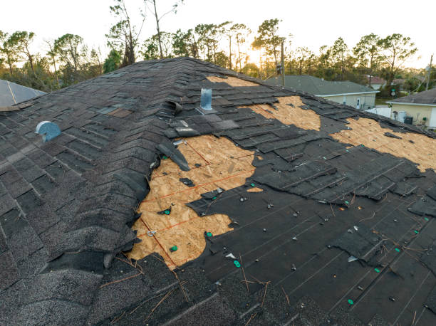 Professional Roofing in James Island, SC